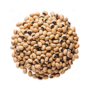 Black-eyed Peas