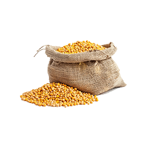 Pigeon Peas