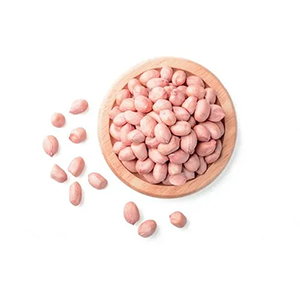 peanut-java-500x500